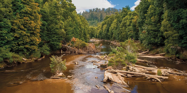 Tasmanian Wonders Tours, couples and luxury holiday experience